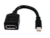 HP - DisplayPort-adapter - Mini DisplayPort (hane) till DisplayPort (hona) - för Elite 800 G9; Workstation Z2 G8, Z2 G9, Z4 G5, Z6 G5; ZBook Fury 15 G8, 16 G9, 17 G8 2MY05AA