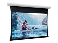 Da-Lite Tensioned Elpro Concept - Projektorduk - takmontering, väggmontering - motoriserad - 230 V - 94.88" (241 cm) - 16:9 - HD Progressive 1.1 Contrast - RAL 9016, matt vit 10101044