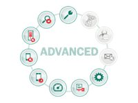 Kaspersky Endpoint Security for Business - Advanced - Abonnemangslicens (1 år) - 1 nod - volym - Nivå P (25-49) - Win - Europa KL4867XAPFS