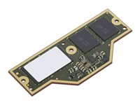 Lenovo - LPDDR5X - modul - 64 GB - CAMM - 7500 MHz - grön - för ThinkPad P1 Gen 7 21KV, 21KW 4X71Q25457