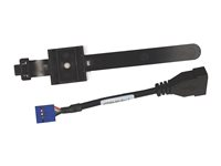HP Internal USB Port Kit - USB-kabel - USB (hona) - för Workstation Z2 G4, Z230, Z240, Z4 G4, Z420, Z440, Z6 G4, Z620, Z640, Z840; ZCentral 4R EM165AA