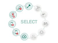 Kaspersky Endpoint Security for Business - Select - Abonnemangslicens (1 år) - 1 nod - volym - Nivå P (25-49) - Win - Europa KL4863XAPFS
