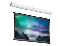 Da-Lite Tensioned DescenderPro - Projektorduk - takmontering - motoriserad - 230 V - 113.39" (288 cm) - 4:3 - Matte White (Tensioned) - RAL 9016 10145738