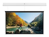 Da-Lite DescenderPro - Projektorduk - takmontering - motoriserad - 230 V - 123.23" (313 cm) - 4:3 - Matte White - matt vit, RAL 9016 10141739