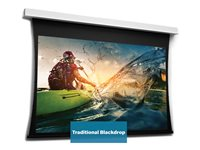 Da-Lite Tensioned DescenderPro - Projektorduk - takmontering - motoriserad - 230 V - 94.88" (241 cm) - 16:9 - HD Progressive 1.1 - RAL 9016 10106640